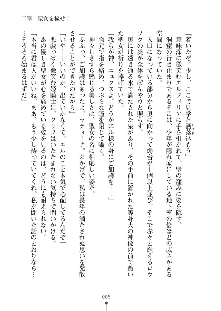 Cool Maso! Fantasy~ Shitsukete Himekishi Sama