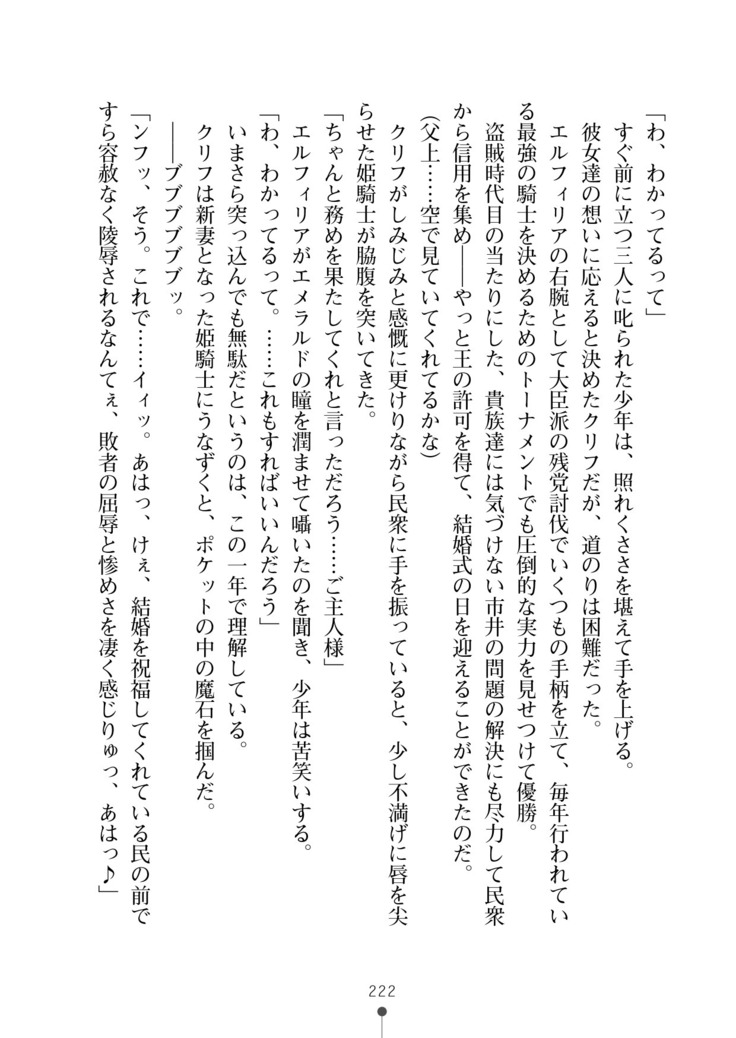 Cool Maso! Fantasy~ Shitsukete Himekishi Sama