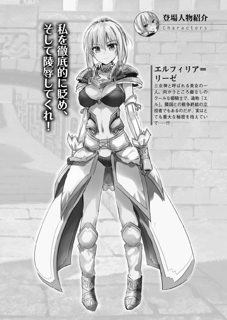 Cool Maso! Fantasy~ Shitsukete Himekishi Sama