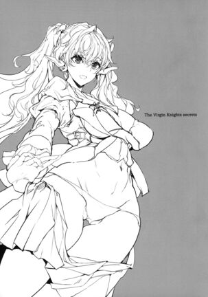 The Virgin Knights Secrets | Otome Kishi no Himegoto - Page 2