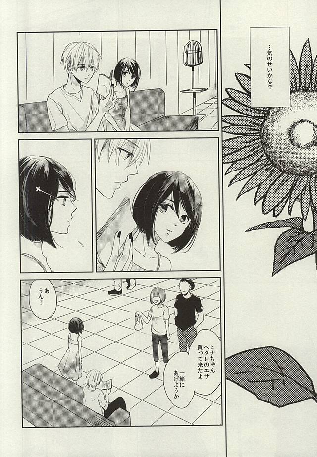 Kimi ga Taiyou