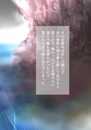 Image 6524291