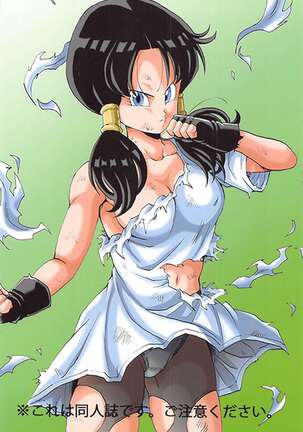 Videl LOVE - Page 26