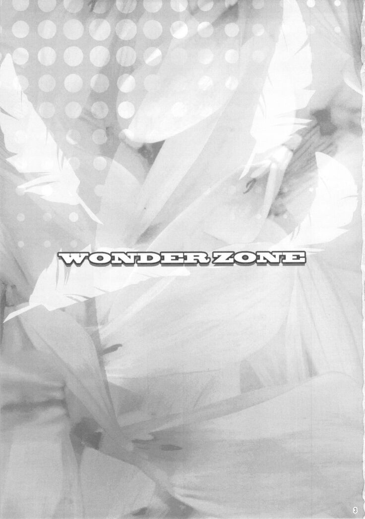 WONDER ZONE