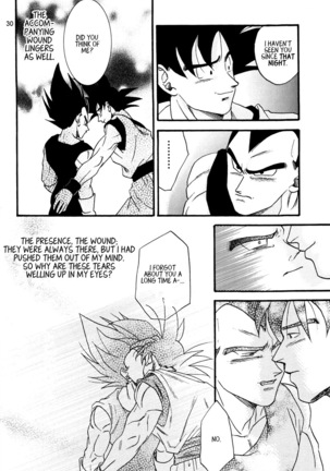 Dragon Ball dj – Muimi na Kiiro 2 Page #29