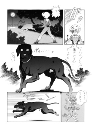 Image 4226557