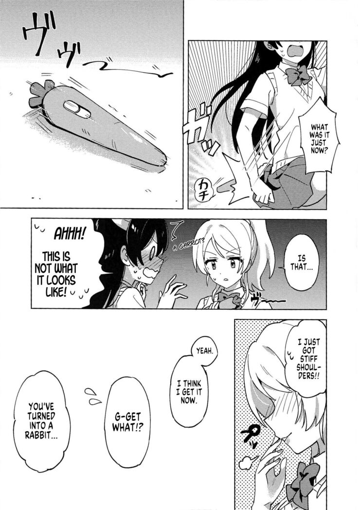 Funny Bunny