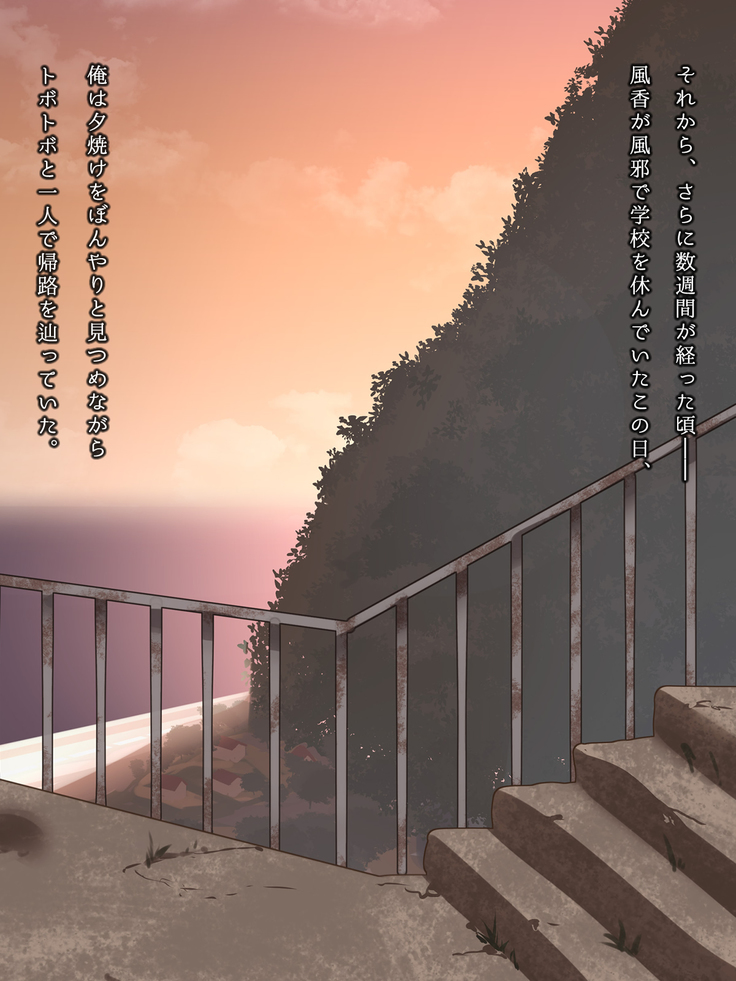 真夏の転校生