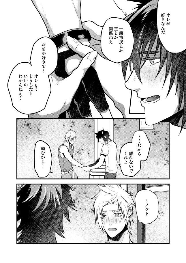 Lucis Cat Prince