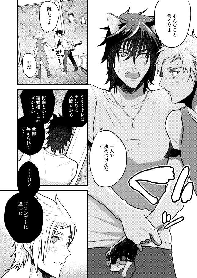 Lucis Cat Prince