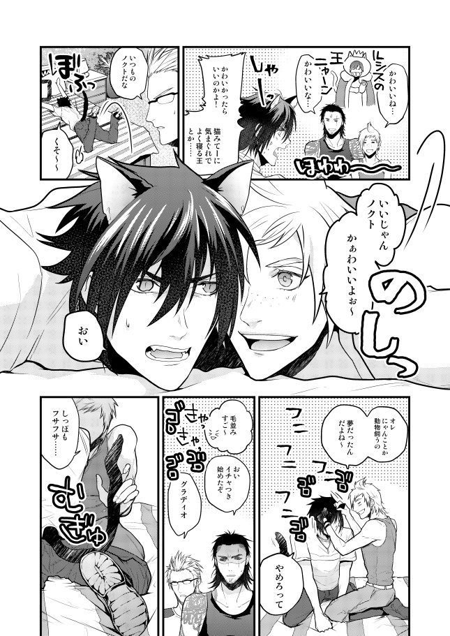 Lucis Cat Prince