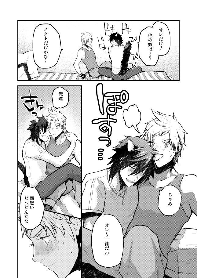Lucis Cat Prince