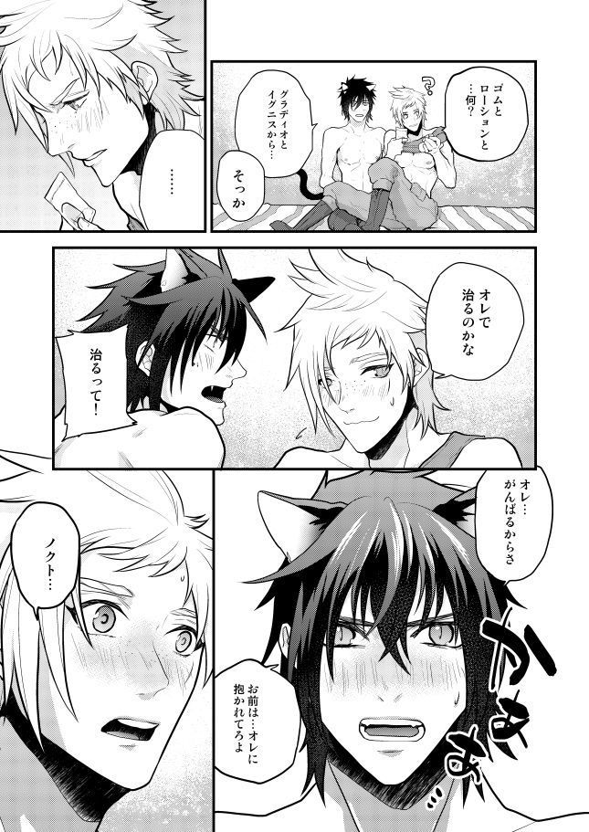 Lucis Cat Prince
