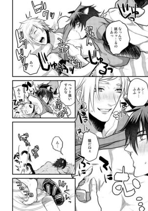 Lucis Cat Prince Page #33