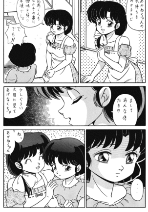 (C42) [Takashita-ya (Taya Takashi)] Tendou-ke no Musume-tachi Vol. 3 (Ranma 1/2) - Page 18