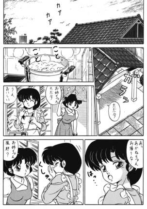 (C42) [Takashita-ya (Taya Takashi)] Tendou-ke no Musume-tachi Vol. 3 (Ranma 1/2) Page #45