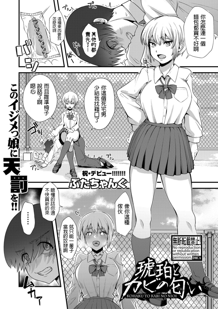 ぶたちゃんぐ   琥珀とカビの匂い    COMIC 真激 2020年2月号  中文翻譯