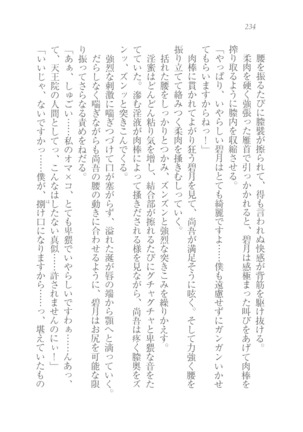 縛って愛してお嬢様 - Page 235