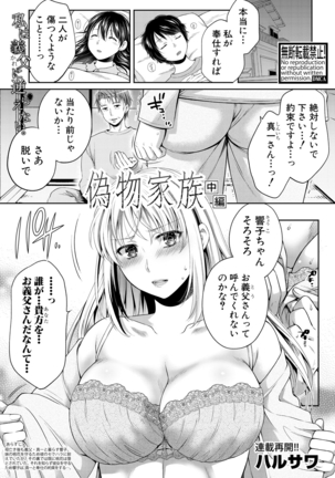 偽物家族 Ch. 1-3 Page #27