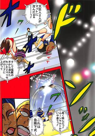 Touhou Ero ProWres Match Page #24