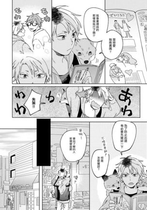 Kogitsune Shishou wa Hekotarenai!!! | 小狐狸老师永不气馁!!! 2-3 - Page 12