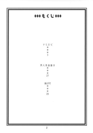 Nami no  Koukai Nisshi EX NamiRobi Page #3