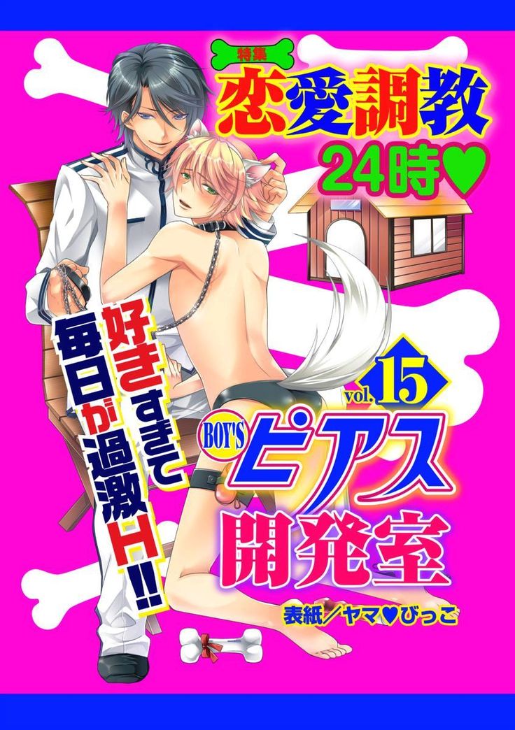 BOY'S Pierce Kaihatsu Shitsu vol.15 Renai Choukyou 24ji