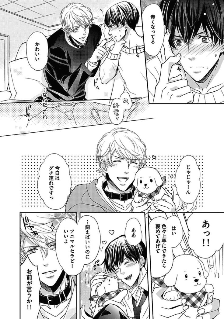 BOY'S Pierce Kaihatsu Shitsu vol.15 Renai Choukyou 24ji