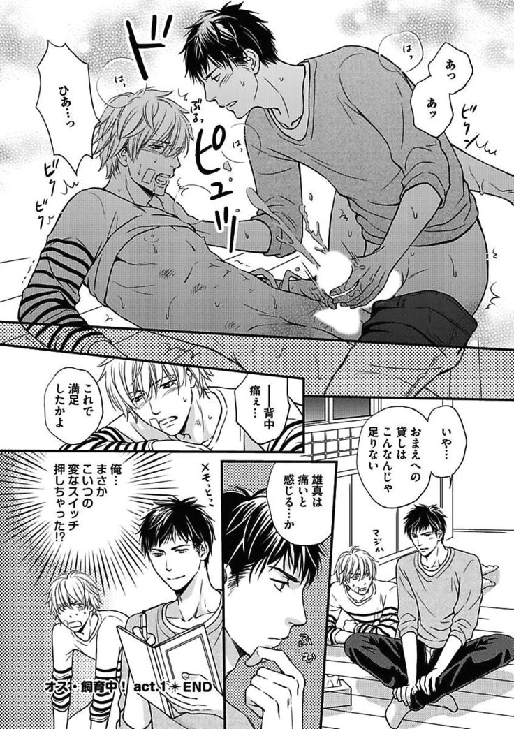 BOY'S Pierce Kaihatsu Shitsu vol.15 Renai Choukyou 24ji
