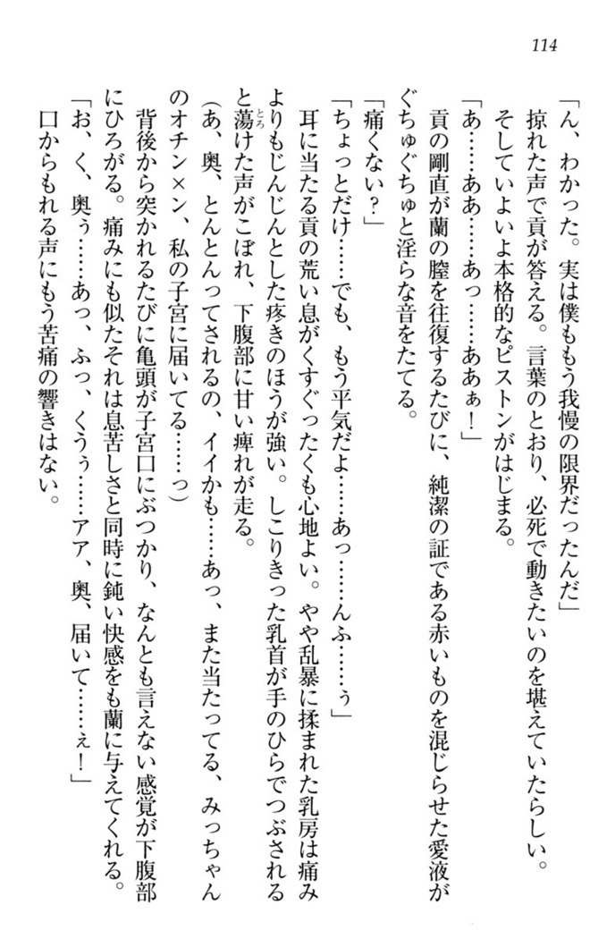 お嬢様姉妹はW嫁！
