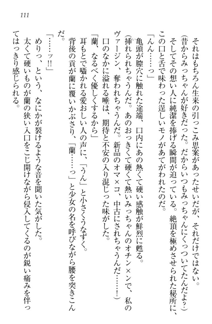 お嬢様姉妹はW嫁！