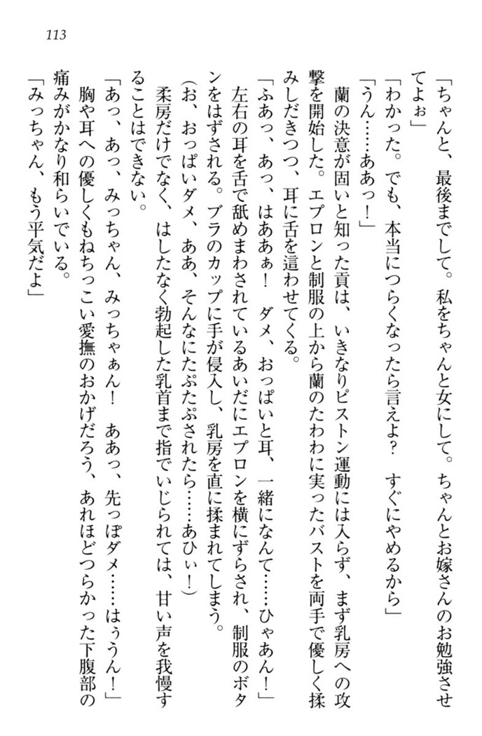 お嬢様姉妹はW嫁！