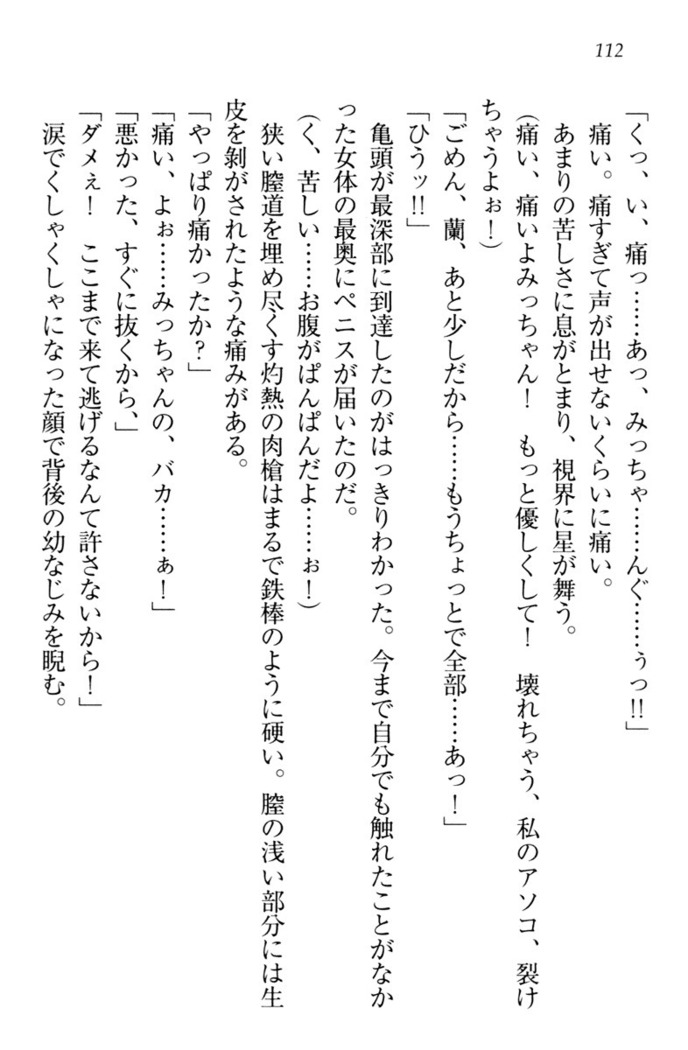 お嬢様姉妹はW嫁！