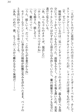 お嬢様姉妹はW嫁！ Page #264