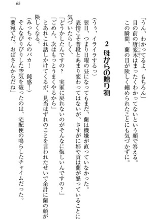 お嬢様姉妹はW嫁！ Page #68