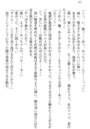 お嬢様姉妹はW嫁！ Page #115