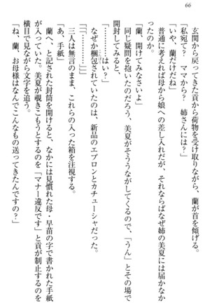 お嬢様姉妹はW嫁！ Page #69
