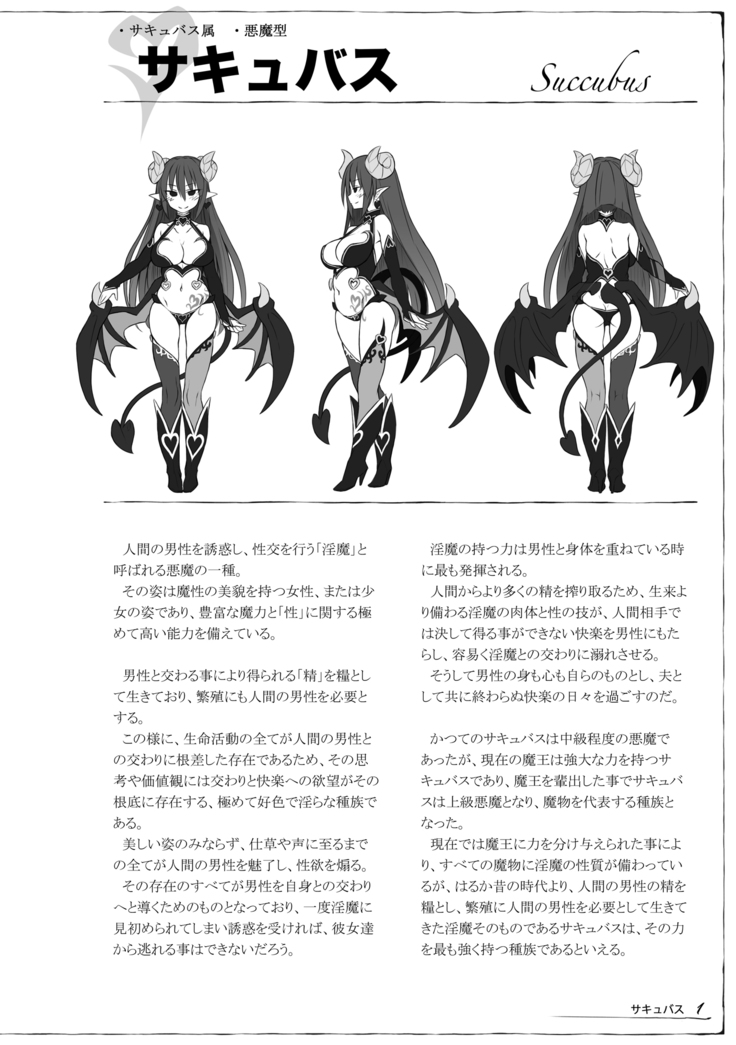 Monster Girl Encyclopedia Succubus Notebook