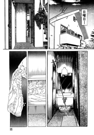 Nyobon ~Hitozuma Ryoujoku rape Shuu~ Tsunoamekazuya Gekiga Sen - Page 95
