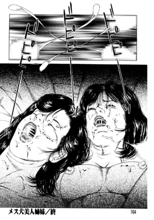 Nyobon ~Hitozuma Ryoujoku rape Shuu~ Tsunoamekazuya Gekiga Sen - Page 164