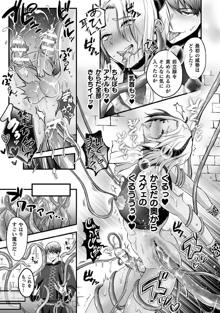 Mesu Ochi Makai Ouji wa, Shokushu no Toriko ~Kizamareshi Inran no Akashi~