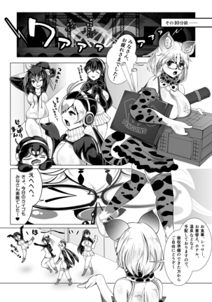 Margay no PPP Management