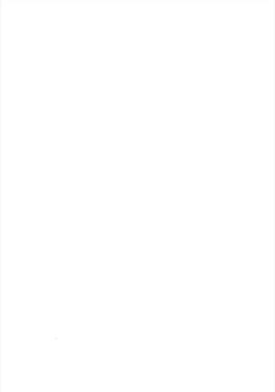 Image 3176993