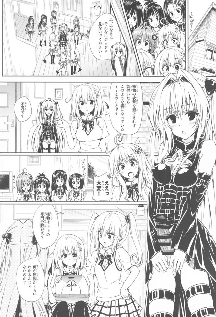 To Love-Ru Harem Soushuuhen