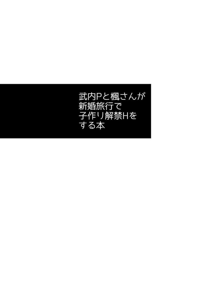 Takeuchi P to Kaede-san ga Shinkonryokou de Kozukuri Kaikin H o Suru Hon