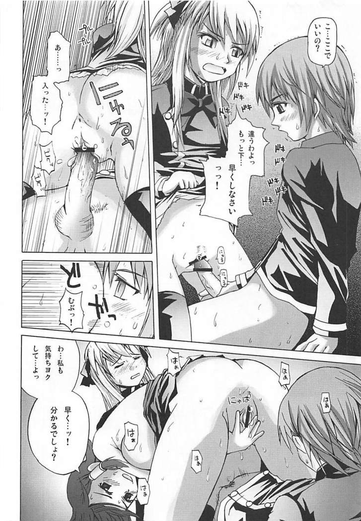 まろまろマロンさん1024mb