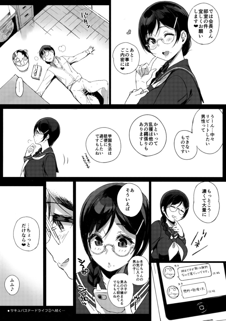 Succubus Stayed Life Soushuuhen