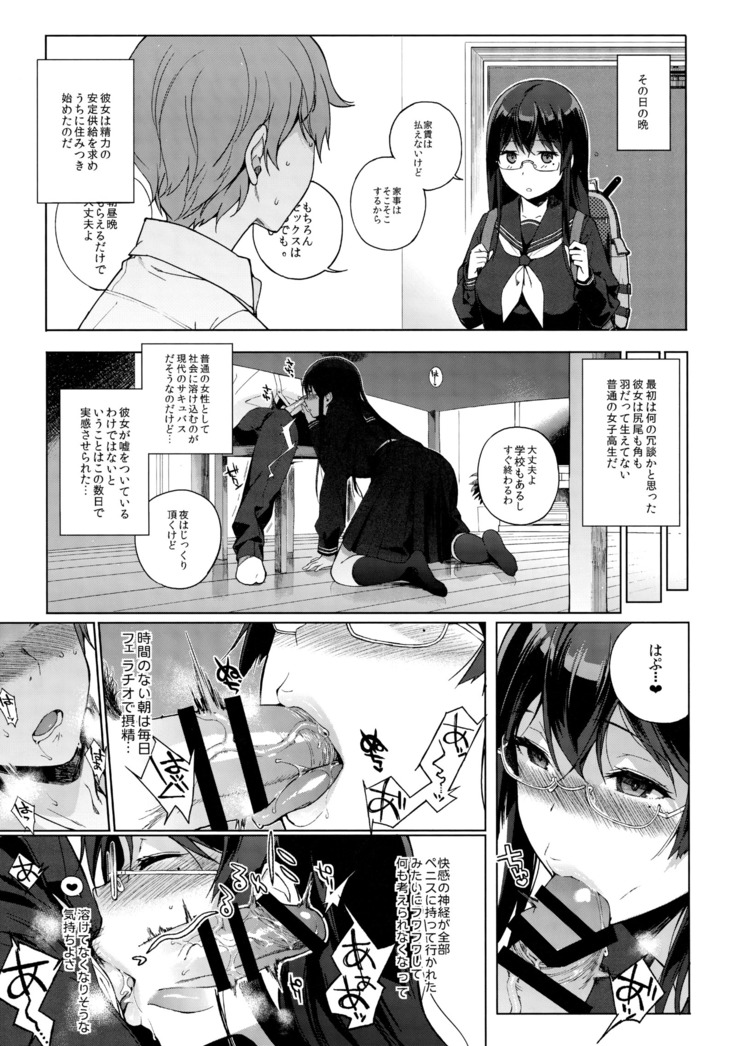 Succubus Stayed Life Soushuuhen