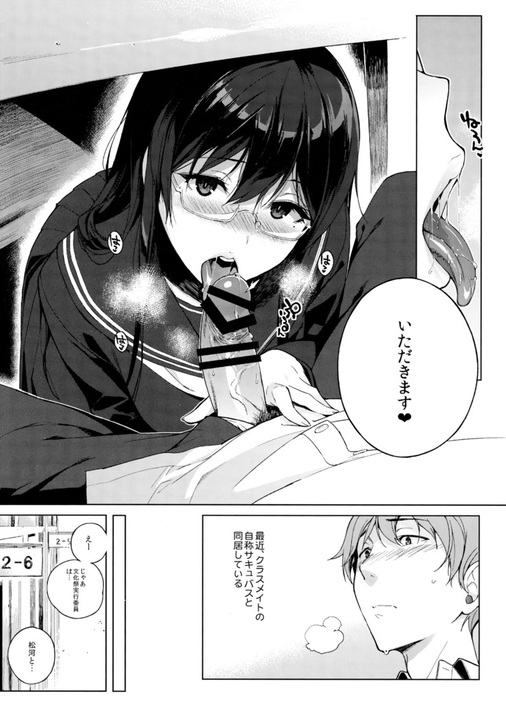 Succubus Stayed Life Soushuuhen