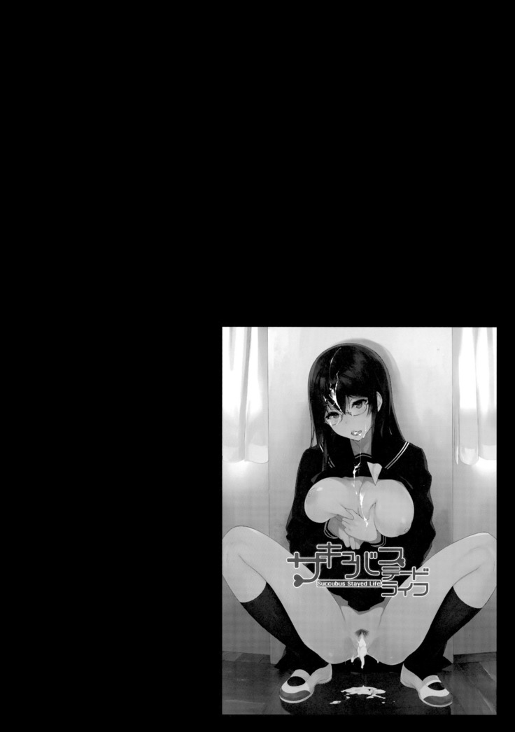 Succubus Stayed Life Soushuuhen